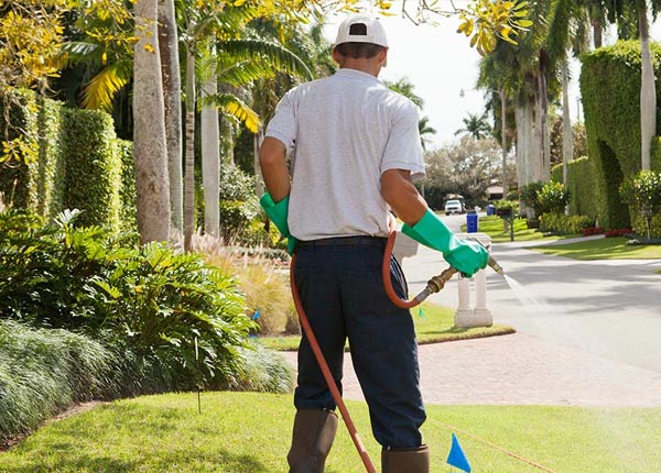 About Oak Ridge MO Pest Control Pros